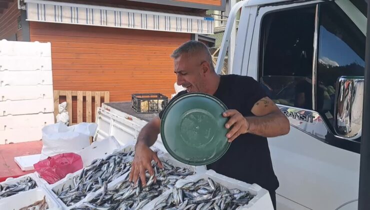 Artvin’de balık tezgahları boş kaldı: Balığın sadece adı kaldı