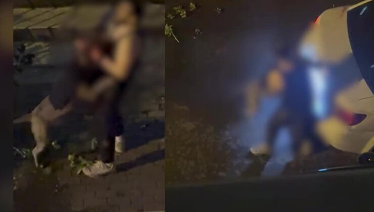 Beslediği pitbull saldırdı, sokak ortasında acı içinde kıvrandı… ‘Yardım et ağabey’