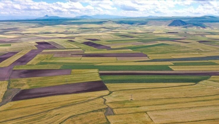 Çankırı’da 18 yerleşim yerinde arazi toplulaştırma kararı