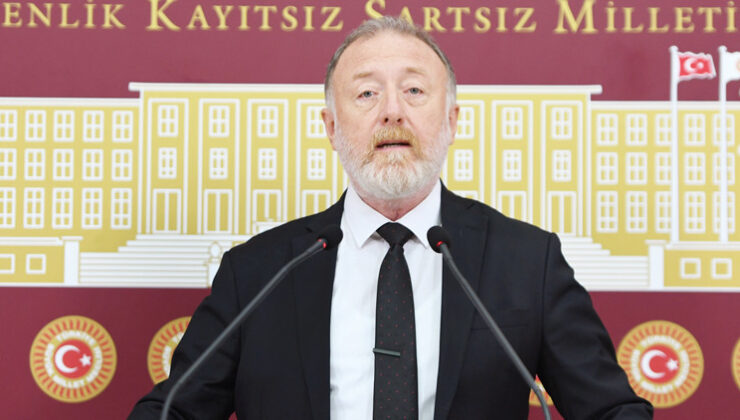DEM Partili Sezai Temelli: İmralı takvimi belirlenmedi