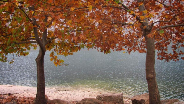 Fırat Nehri kıyısında tabloları aratmayan sonbahar manzarası