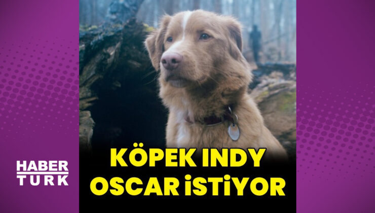 ‘Good Boy’ filminin köpek yıldızı Oscar istiyor