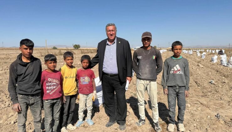 Gürer: Çocuk tarım işçisi eğitim hayatına erişmeli