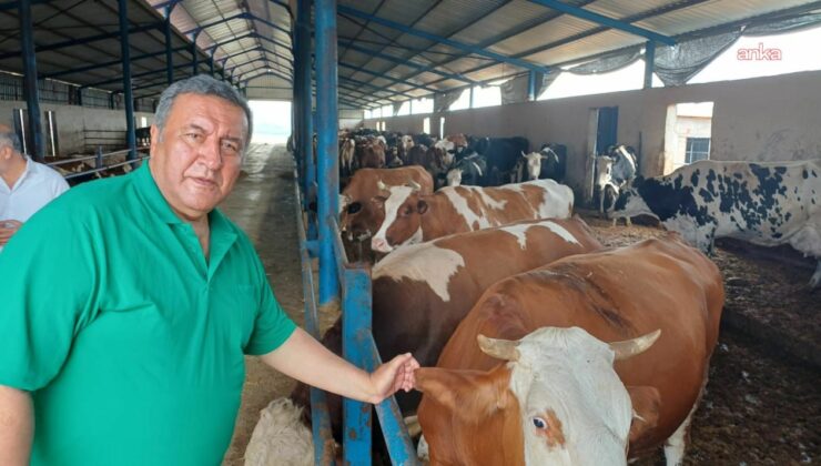 Gürer et fiyatlarına isyan etti: Üretici değil, ithalat kazanıyor