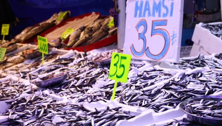 Hamsi bolluğu geldi: Kilo fiyatı dip yaptı, 35 TL'ye kadar düştü