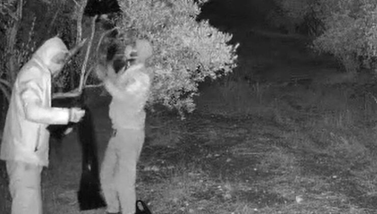 Kamera kaydetti, foyaları meydana çıktı: Biri yönlendiriyor, diğerleri planı uyguluyordu: Jandarma suçüstü yakaladı
