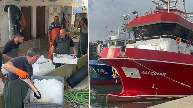 Karadeniz’den kasalarca çıktı! Fiyatı 150 lira birden düştü