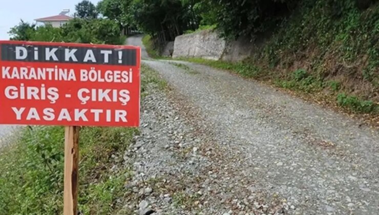 O kentimizde şap hastalığı paniği! Çok sayıda mahalle karantinaya alındı