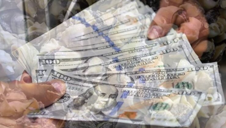 Sadece 9 ayda 10,7 milyon dolar kazandırdı: Bu mesleğe yönelen kazandı, talep giderek artıyor