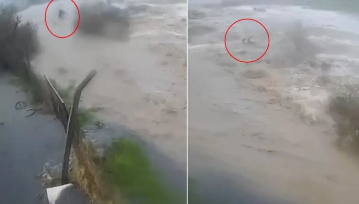Sele kapılan Bülent Kaptanoğlu’nun son anları kamerada! Ne yapsa kurtulamadı