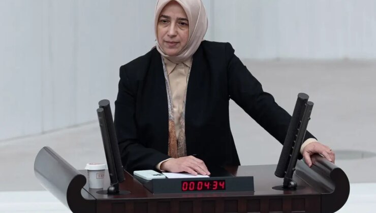 Sözleri tepki çeken Özlem Zengin, geri adım attı