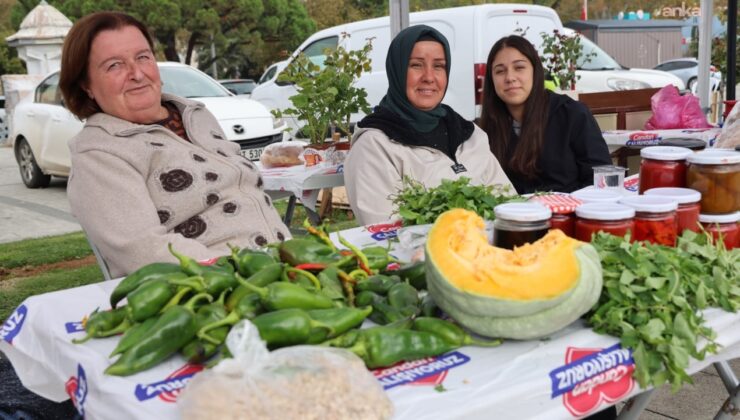 Tarladaki domatesini biberini alıp gittiler: Kapış sattılar paraya para demediler