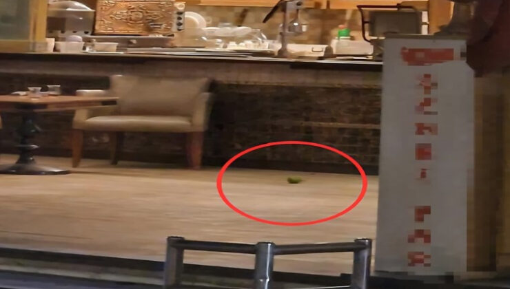 Yer: Adana! 16 yaşındaki saldırgan pastaneye el bombası attı