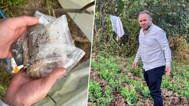 Yıllar önce başladı! Ülkenin dört bir yanına ücretsiz gönderiyor! ‘Alın yiyin çekirdeklerini bana getirin’
