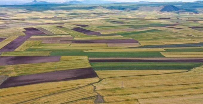 Arsa ve tarla fiyatları frene bastı: Son 1 yılda kazandırmayan iller sıralandı