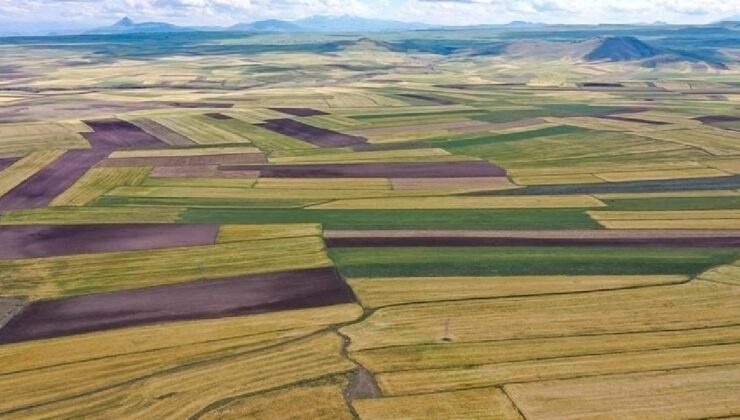Arsa ve tarla fiyatları frene bastı: Son 1 yılda kazandırmayan iller sıralandı