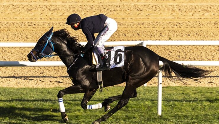 At yarışı sektörü "gizli vergi" tehdidi altında