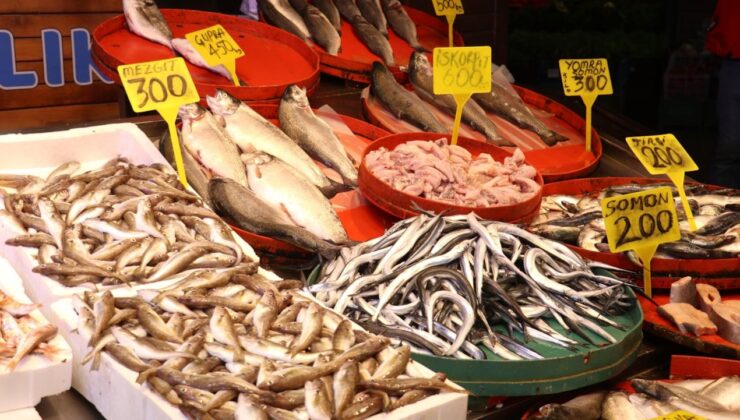 Balık tezgahları karıştı: Hamsi 50 TL'ye düşerken levrek 450 TL'ye dayandı