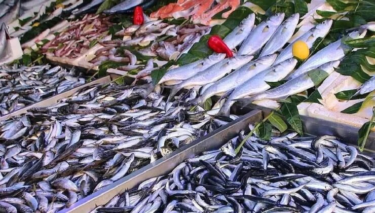 Balık tezgahları şenlendi: Fiyatı 50 liraya düştü