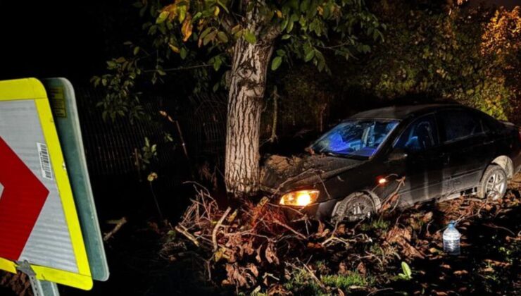 Bursa’da otomobil ağaca çarptı: 3 yaralı