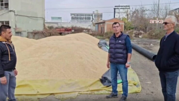 CHP’li Akgüngör’den TMO’ya çeltik alım fiyatı tepkisi: ‘Çiftçimizi desteklersek bu ülke var olur’