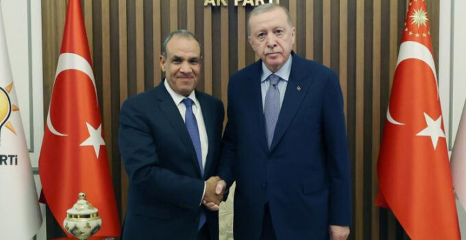 Cumhurbaşkanı Erdoğan, Mısırlı bakanı kabul etti