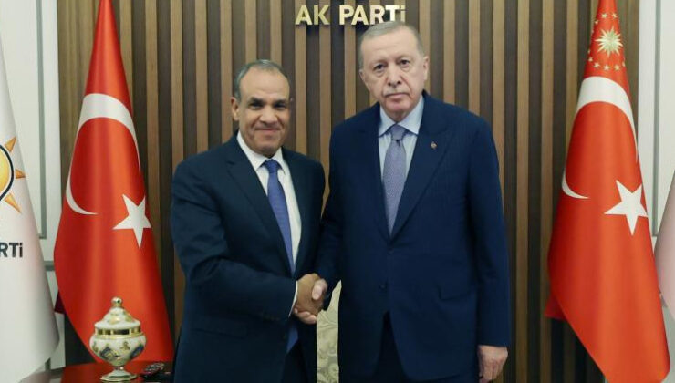 Cumhurbaşkanı Erdoğan, Mısırlı bakanı kabul etti