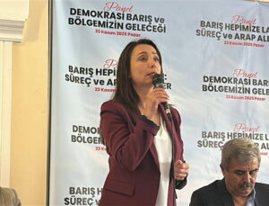 DEM Parti Eş Genel Başkanı Tülay Hatimoğulları’ndan CHP’ye çağrı