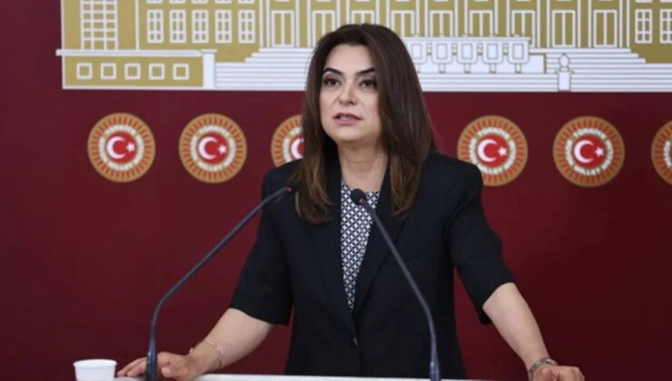 DEM Partili Gülistan Koçyiğit’ten dikkat çeken ‘İmralı’ çıkışı