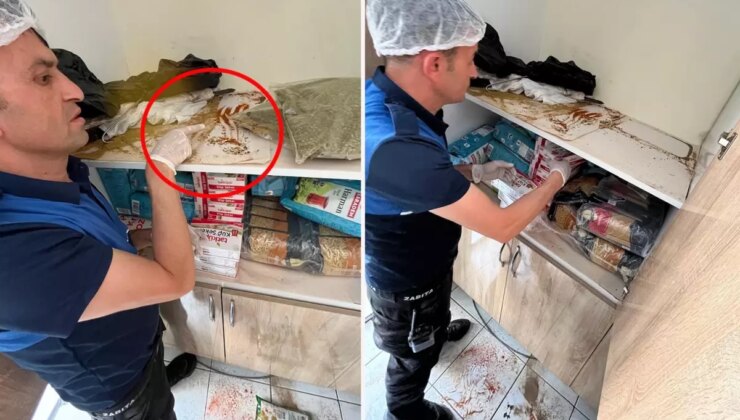Devrek’te bir rezil görüntü daha! Dolaplar fare pisliklerinden geçilmiyor