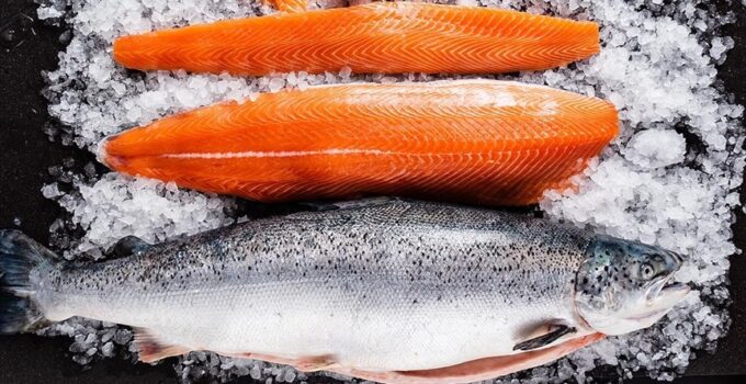 Doğu Karadeniz Türk somonu ihracatında rekor kırdı