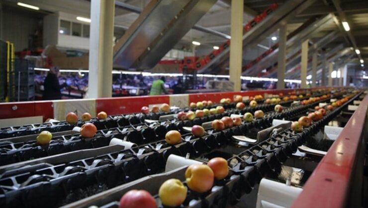 Dünyaya meyve ihraç eden Türk gıda devi mali darboğazda