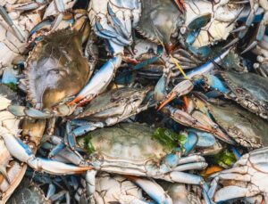 Elektrikli araçlarda yengeç ve ıstakoz kullanıp fiyatları düşürecekler