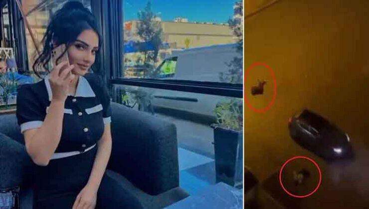 Esra ve arkadaşını öldüren sanığa istenen ceza belli oldu: Yaptığımdan pişmanım