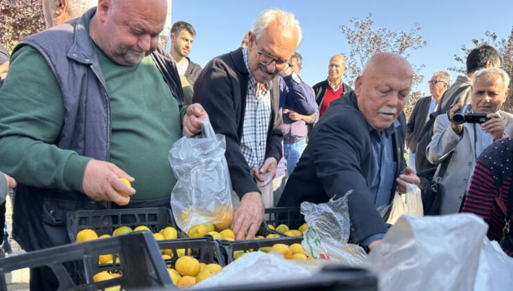 Hatay’da üreticiler, alıcı çıkmayan tonlarca mandalinayı ücretsiz dağıttı