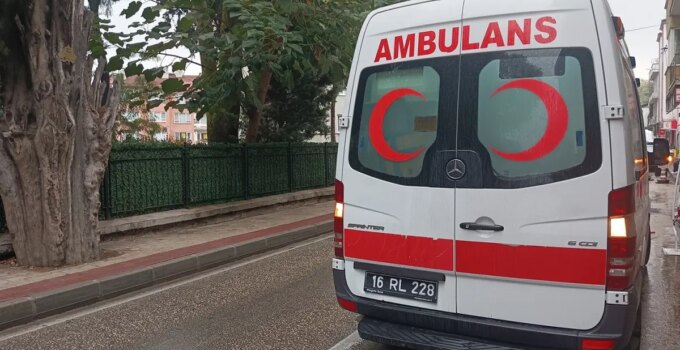 İzmir’de hayvansever bir kadın, evinde çıkan yangında 30 kedisiyle birlikte hayatını kaybetti