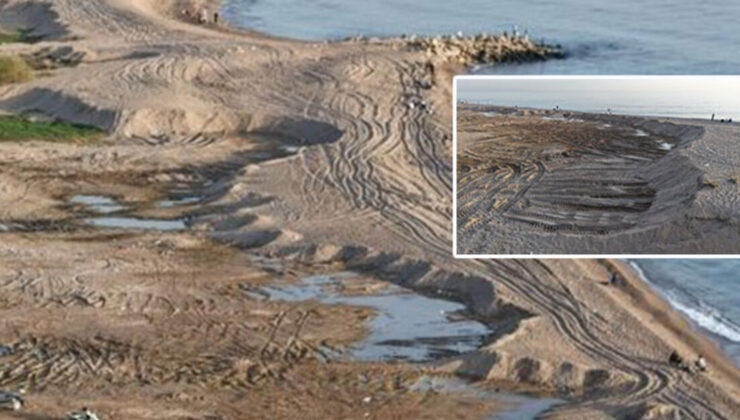 Kamyon kamyon yüklediler… Eşsiz plajı çaldılar!