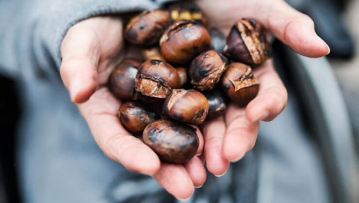 Kestanenin fiyatı cep yakıyor