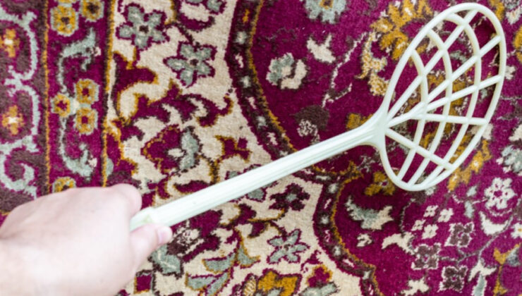 Komşusunun üzerine halı silkeleyen sanığa 3 ay hapis