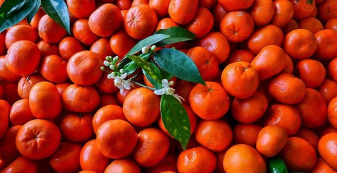 Mandalina ihracatı 10 ayda yüzde 34 artarak 375 milyon dolar oldu