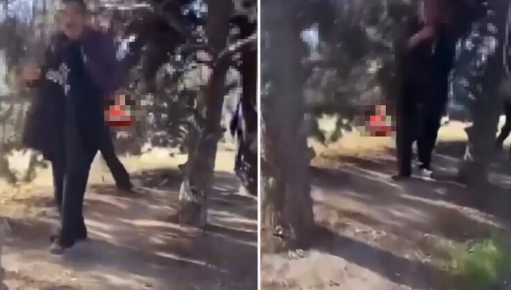 Mide bulandıran iddia! Kamerayı görünce apar topar kaçtılar