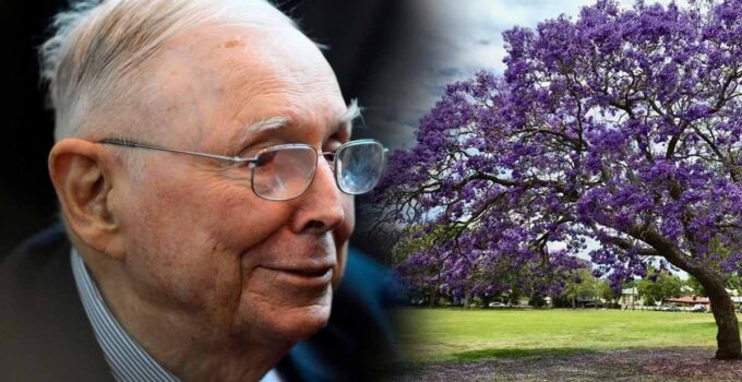 Milyarder Charlie Munger, 'yatırımınızı üç katına çıkarmak istiyorsanız evinize ağaç dikin' diyor! İşte nedeni