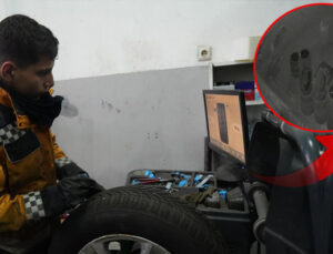 Muş’ta köpeklerin saldırdığı tavuk oto lastikçiye sığındı