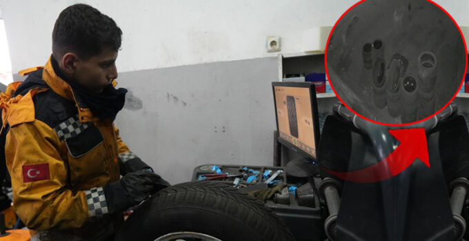 Muş’ta köpeklerin saldırdığı tavuk oto lastikçiye sığındı