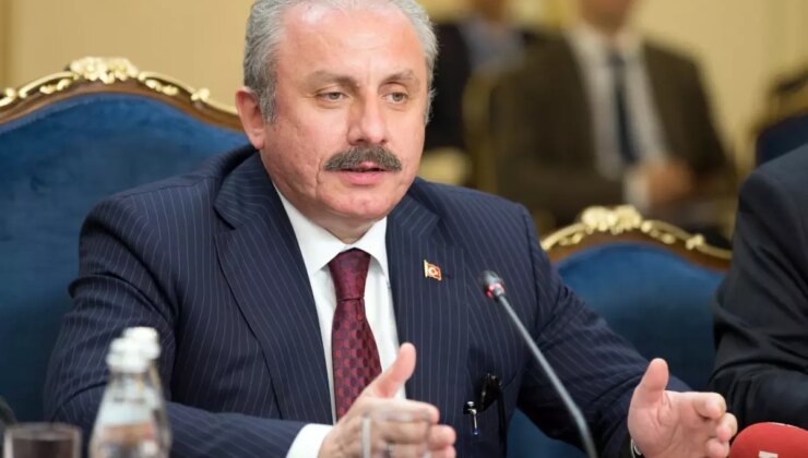 Mustafa Şentop: Üniversiteyi bitirmiş olmak, evlenme yaşını yukarıya taşıyor