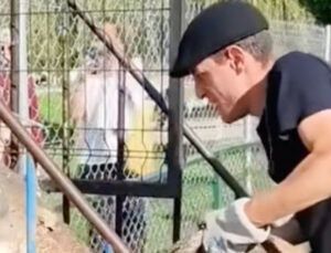 Piknik yaparken nehirden tuttu, 20 bin liraya sattı