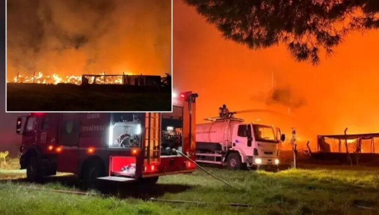 Rüzgarın etkisiyle büyüdü! İzmir’de gece yarısı korkutan yangın