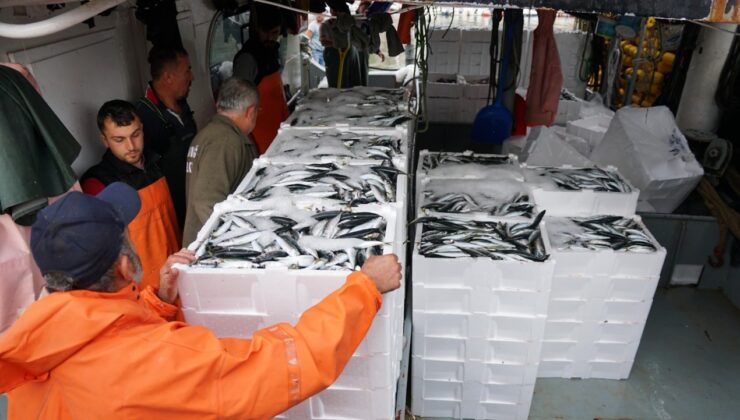 Sabahın ilk ışıklarıyla denize açılan balıkçılar limana zengin olarak döndü