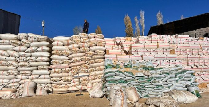 Saman fiyatları 8 bin liraya fırladı