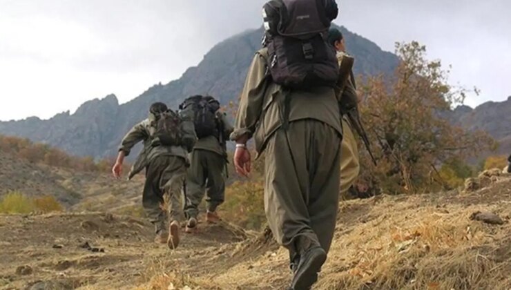 Siyaset bilimci Şahin: ‘Terör, siyaset ve devlet arasındaki ince çizgiye dikkat’